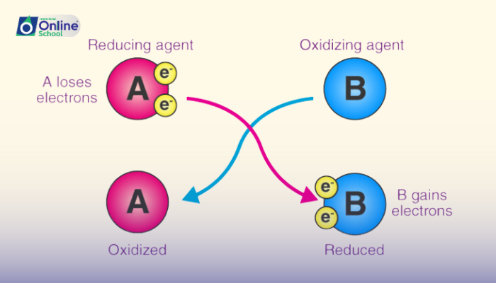 Lesson 04: Defining Oxidizing and Reducing Agents